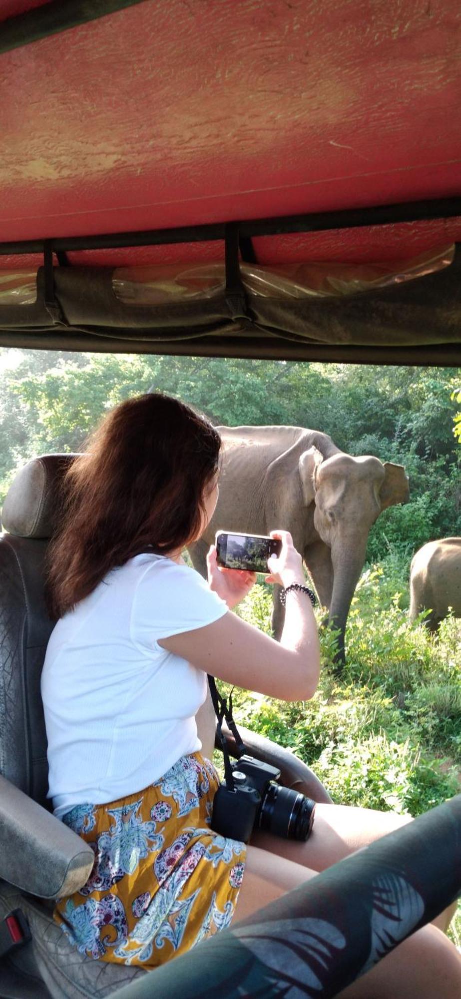 Safari Horizon Udawalawe Bed & Breakfast Bagian luar foto